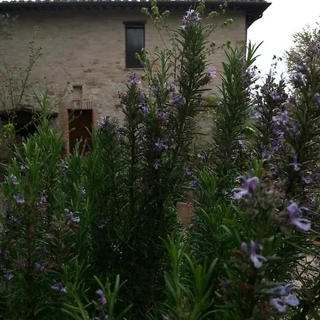 Bed and breakfast Il Poggio Degli Scoiattoli Perugia