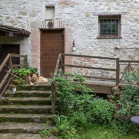 Il Poggio Degli Scoiattoli Bed & Breakfast *